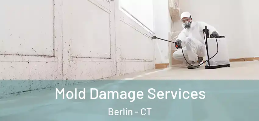 Mold Damage Services Berlin - CT