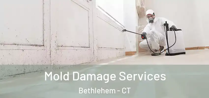 Mold Damage Services Bethlehem - CT
