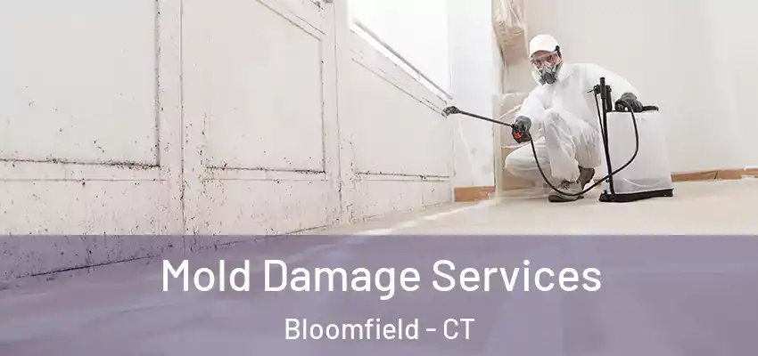 Mold Damage Services Bloomfield - CT
