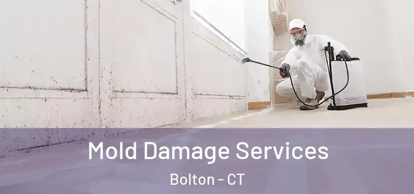 Mold Damage Services Bolton - CT