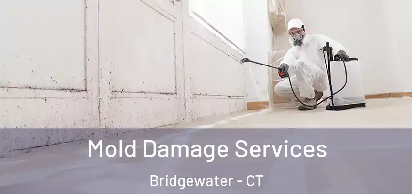Mold Damage Services Bridgewater - CT