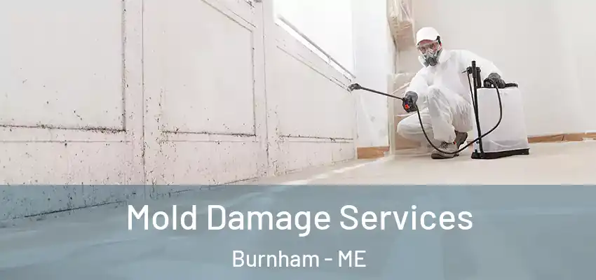 Mold Damage Services Burnham - ME