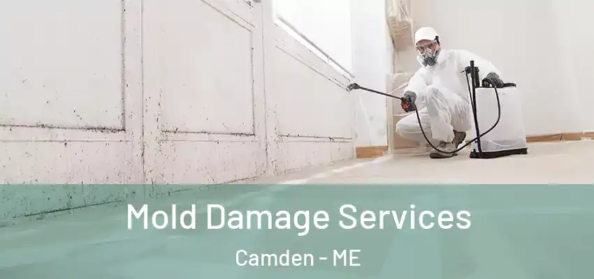 Mold Damage Services Camden - ME