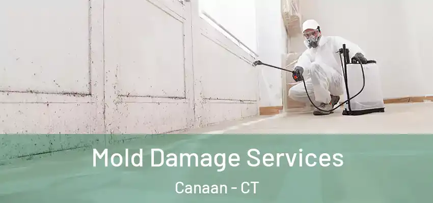 Mold Damage Services Canaan - CT