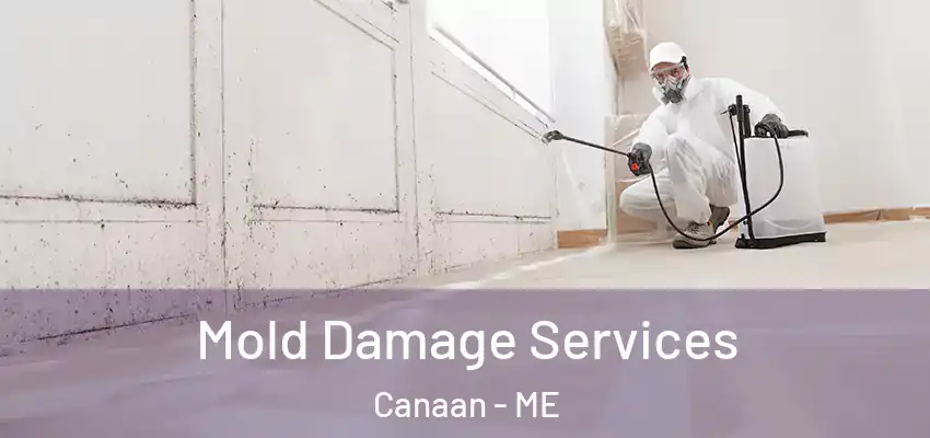  Mold Damage Services Canaan - ME