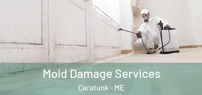 Mold Damage Services Caratunk - ME