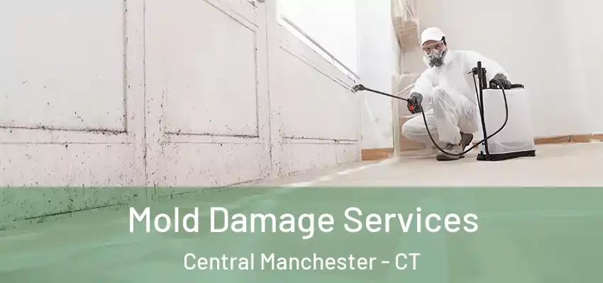  Mold Damage Services Central Manchester - CT