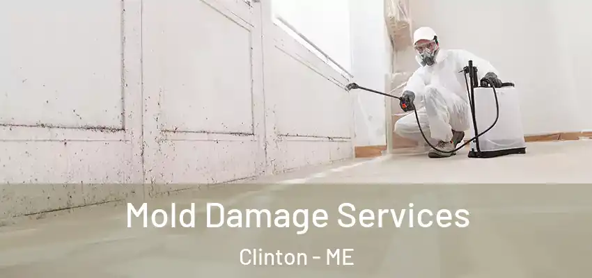 Mold Damage Services Clinton - ME