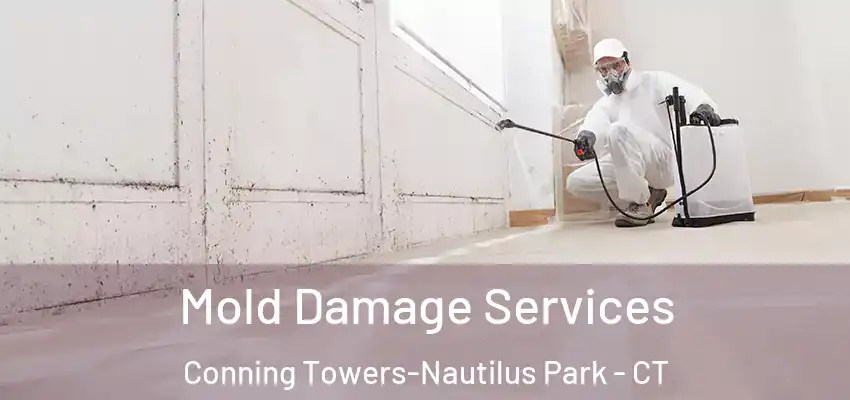  Mold Damage Services Conning Towers-Nautilus Park - CT