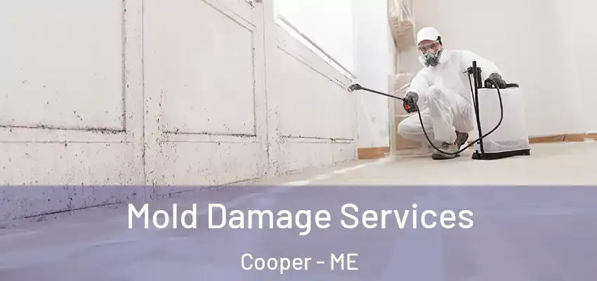 Mold Damage Services Cooper - ME