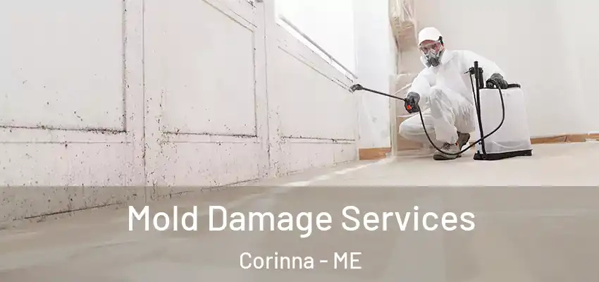 Mold Damage Services Corinna - ME