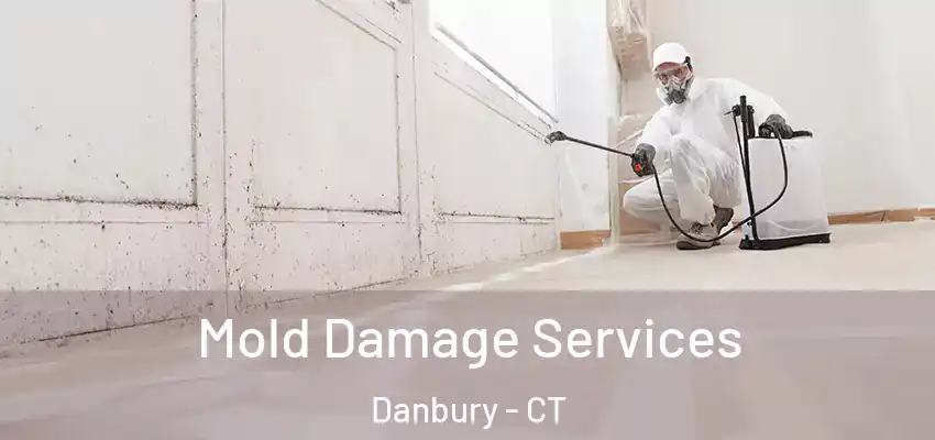 Mold Damage Services Danbury - CT