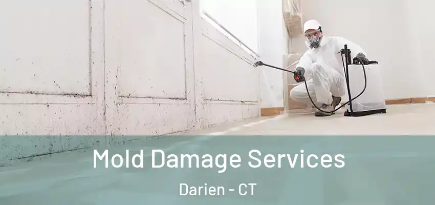 Mold Damage Services Darien - CT
