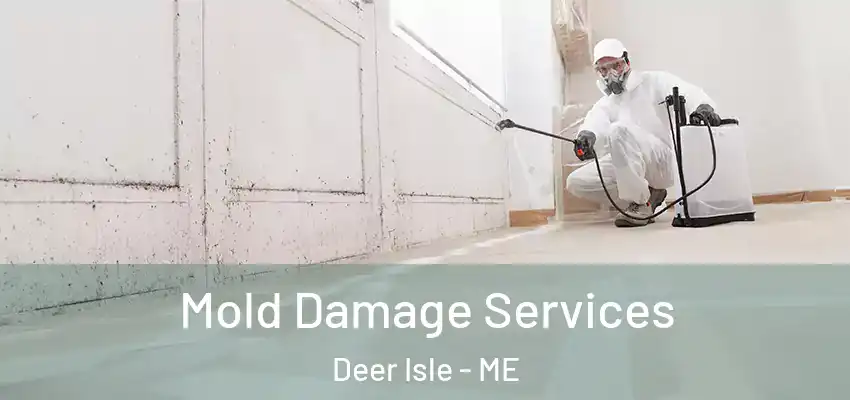  Mold Damage Services Deer Isle - ME