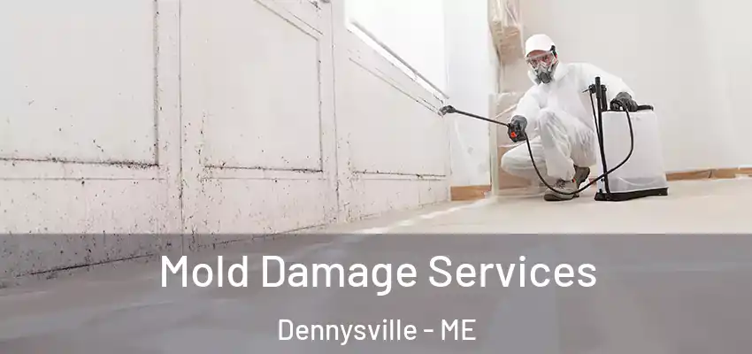Mold Damage Services Dennysville - ME