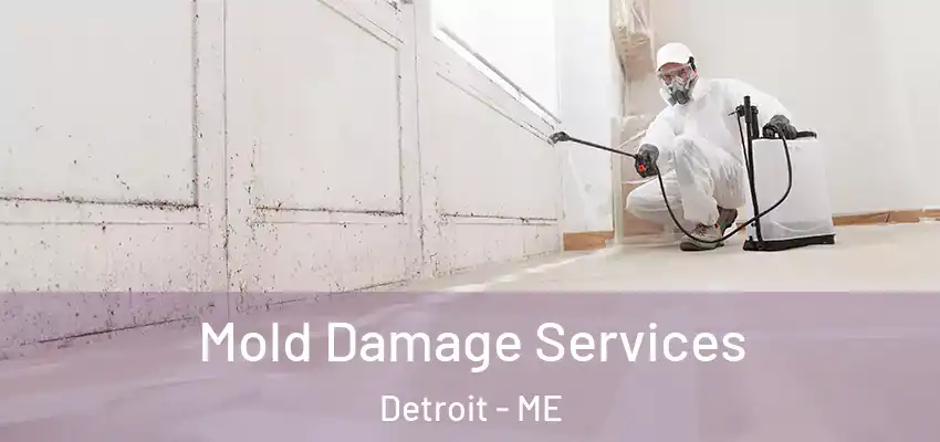 Mold Damage Services Detroit - ME