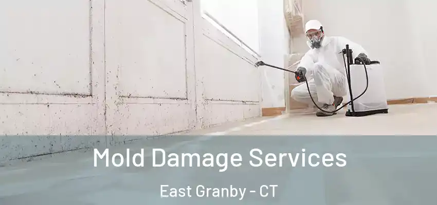 Mold Damage Services East Granby - CT