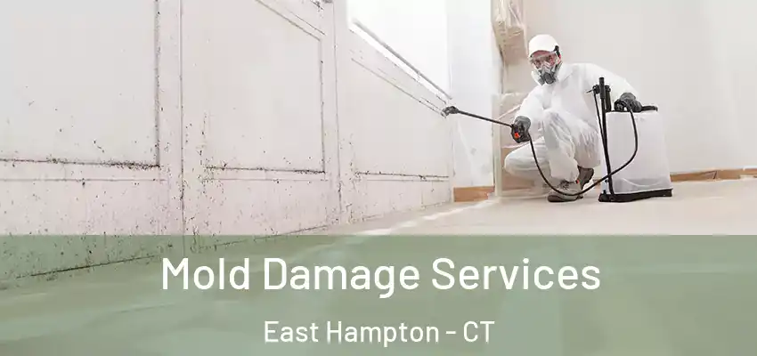 Mold Damage Services East Hampton - CT
