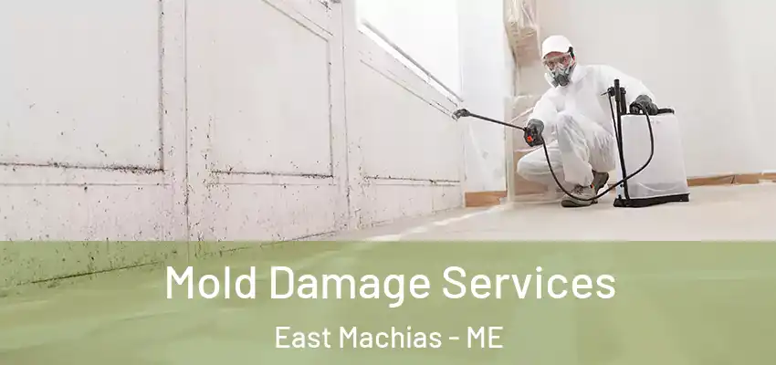 Mold Damage Services East Machias - ME