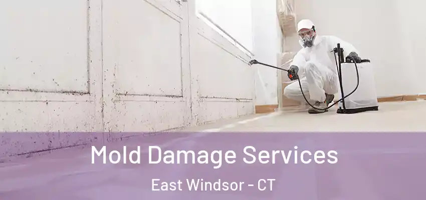  Mold Damage Services East Windsor - CT