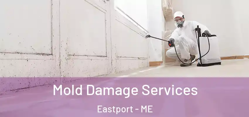  Mold Damage Services Eastport - ME