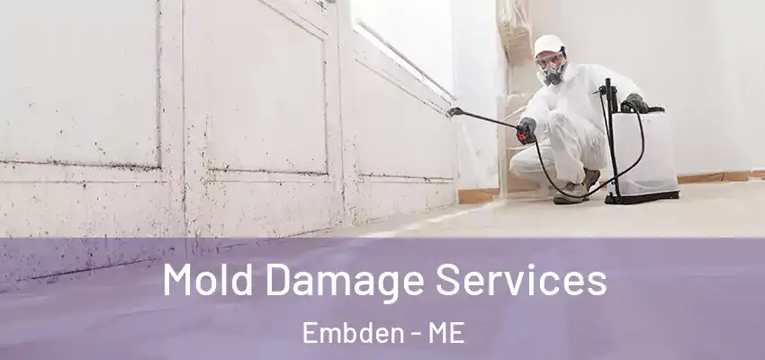 Mold Damage Services Embden - ME