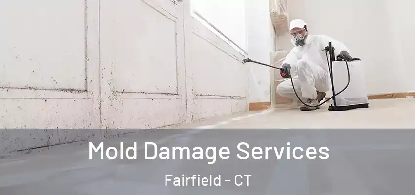 Mold Damage Services Fairfield - CT
