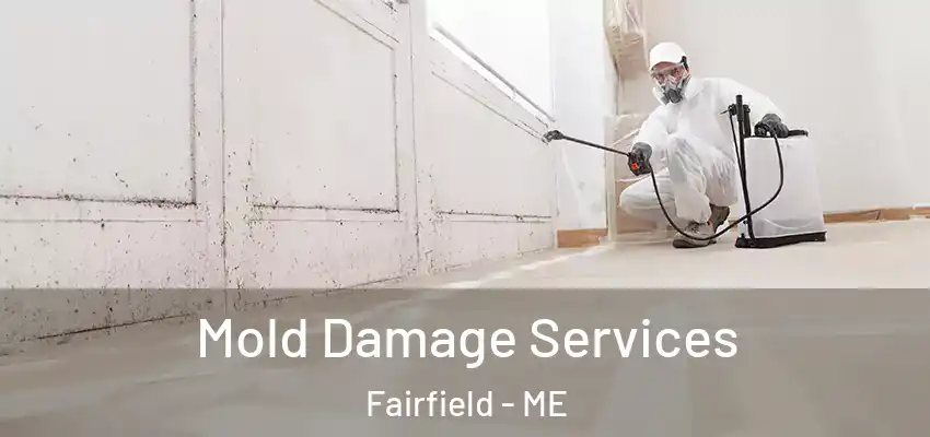 Mold Damage Services Fairfield - ME