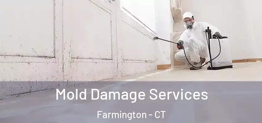  Mold Damage Services Farmington - CT
