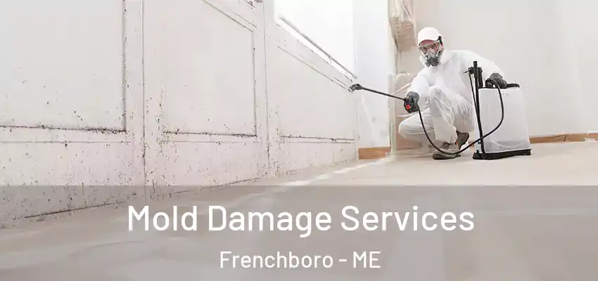  Mold Damage Services Frenchboro - ME