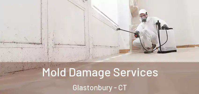  Mold Damage Services Glastonbury - CT