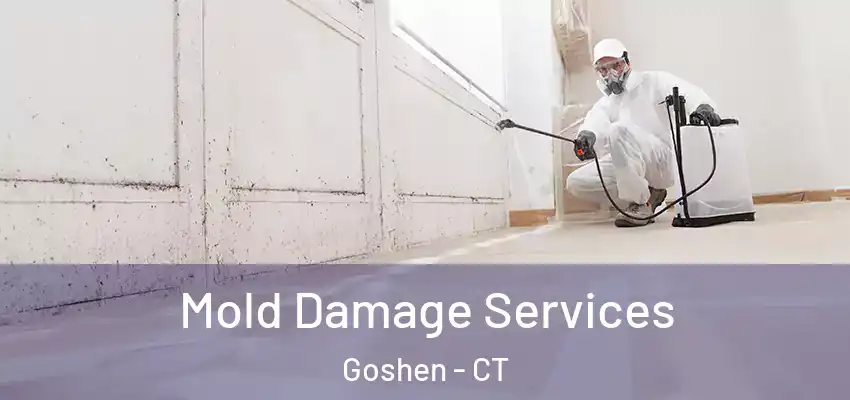 Mold Damage Services Goshen - CT