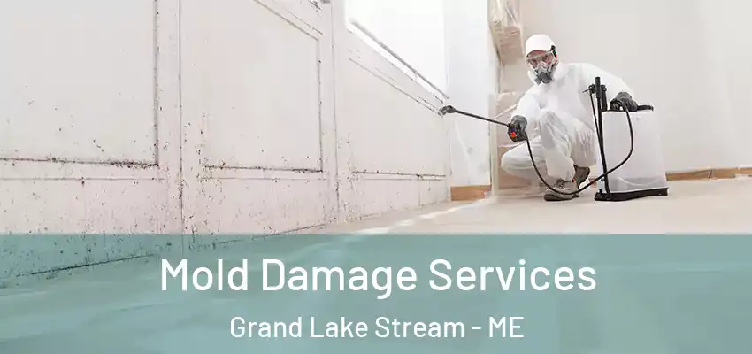 Mold Damage Services Grand Lake Stream - ME