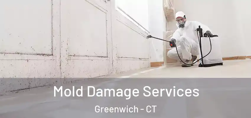 Mold Damage Services Greenwich - CT