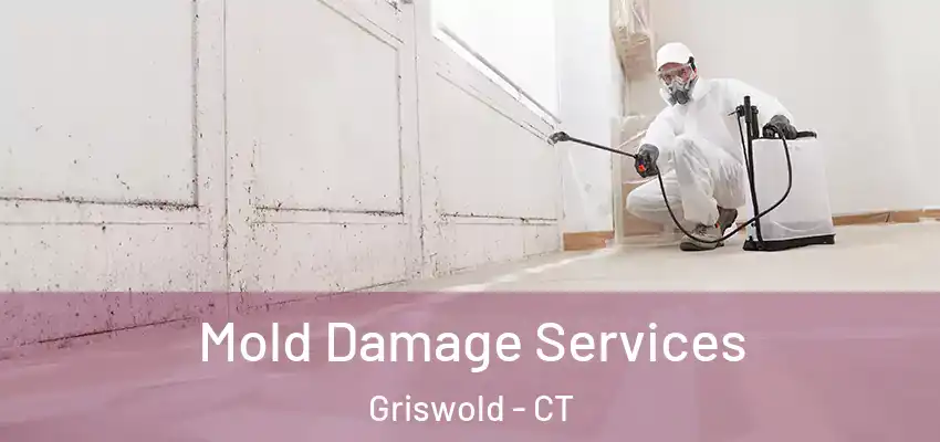 Mold Damage Services Griswold - CT