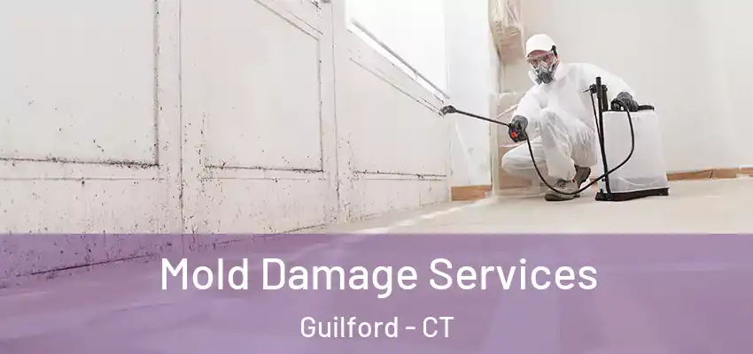 Mold Damage Services Guilford - CT