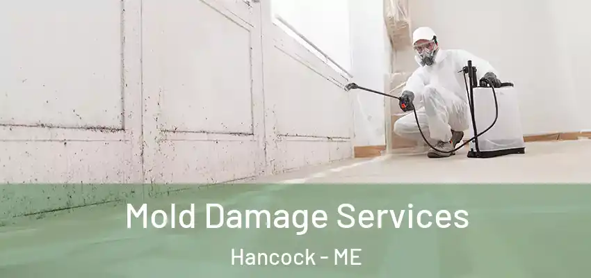 Mold Damage Services Hancock - ME