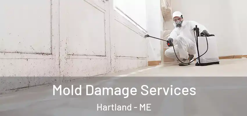 Mold Damage Services Hartland - ME