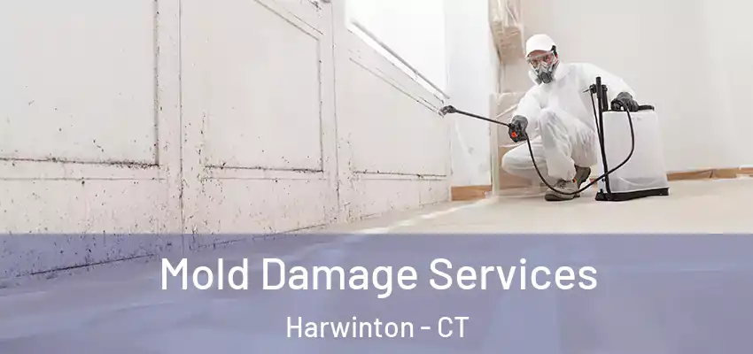 Mold Damage Services Harwinton - CT