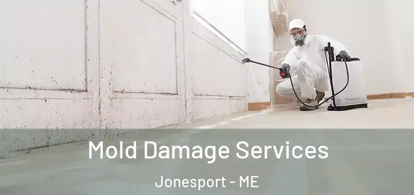 Mold Damage Services Jonesport - ME