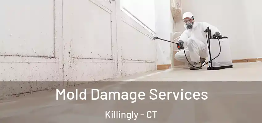 Mold Damage Services Killingly - CT