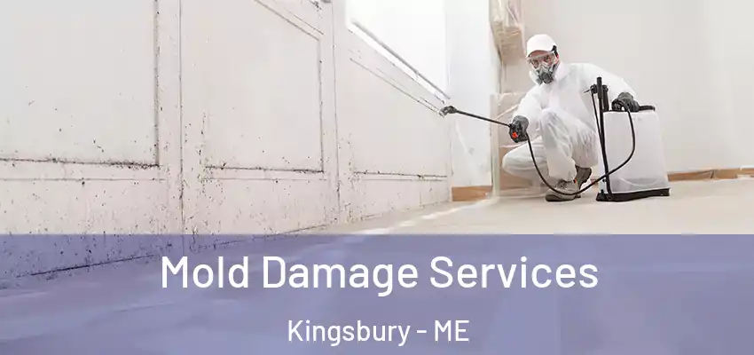  Mold Damage Services Kingsbury - ME