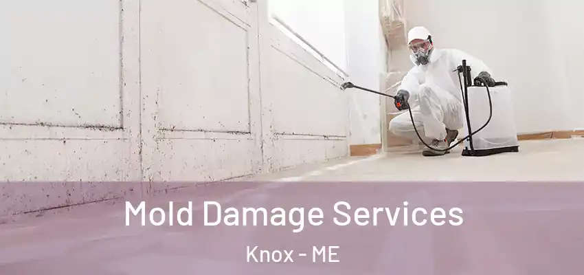 Mold Damage Services Knox - ME