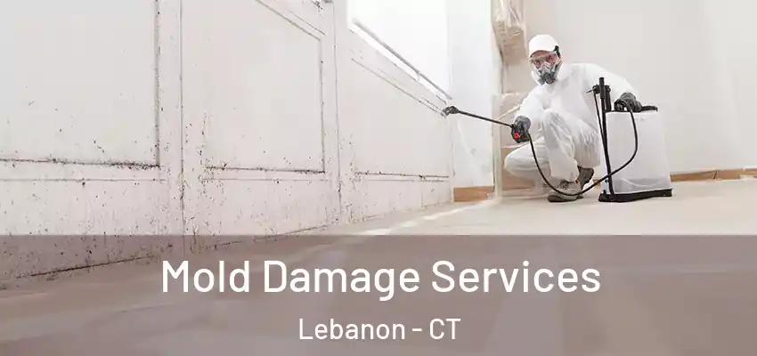 Mold Damage Services Lebanon - CT