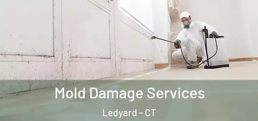 Mold Damage Services Ledyard - CT