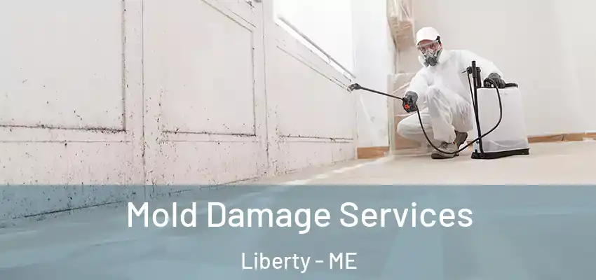 Mold Damage Services Liberty - ME