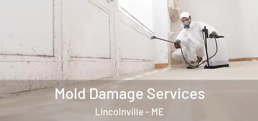 Mold Damage Services Lincolnville - ME