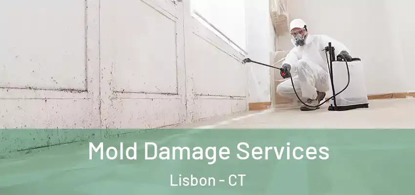 Mold Damage Services Lisbon - CT
