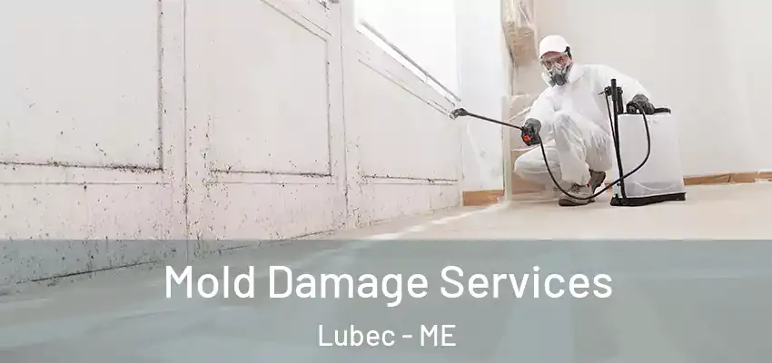Mold Damage Services Lubec - ME