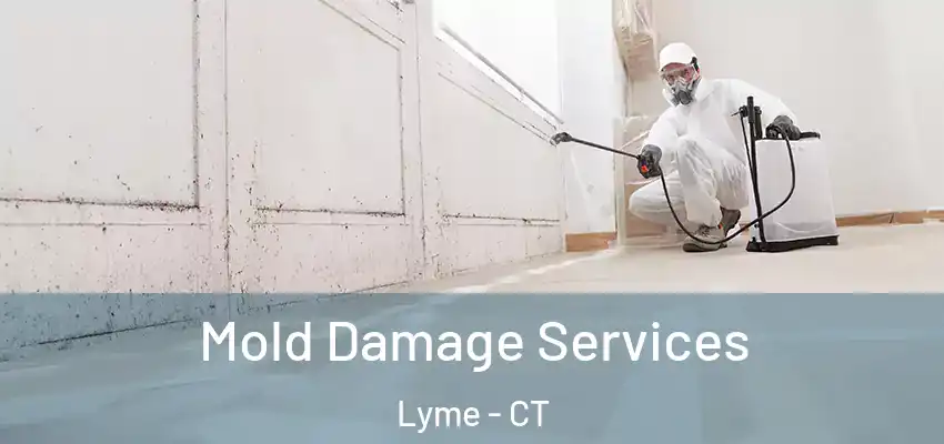 Mold Damage Services Lyme - CT